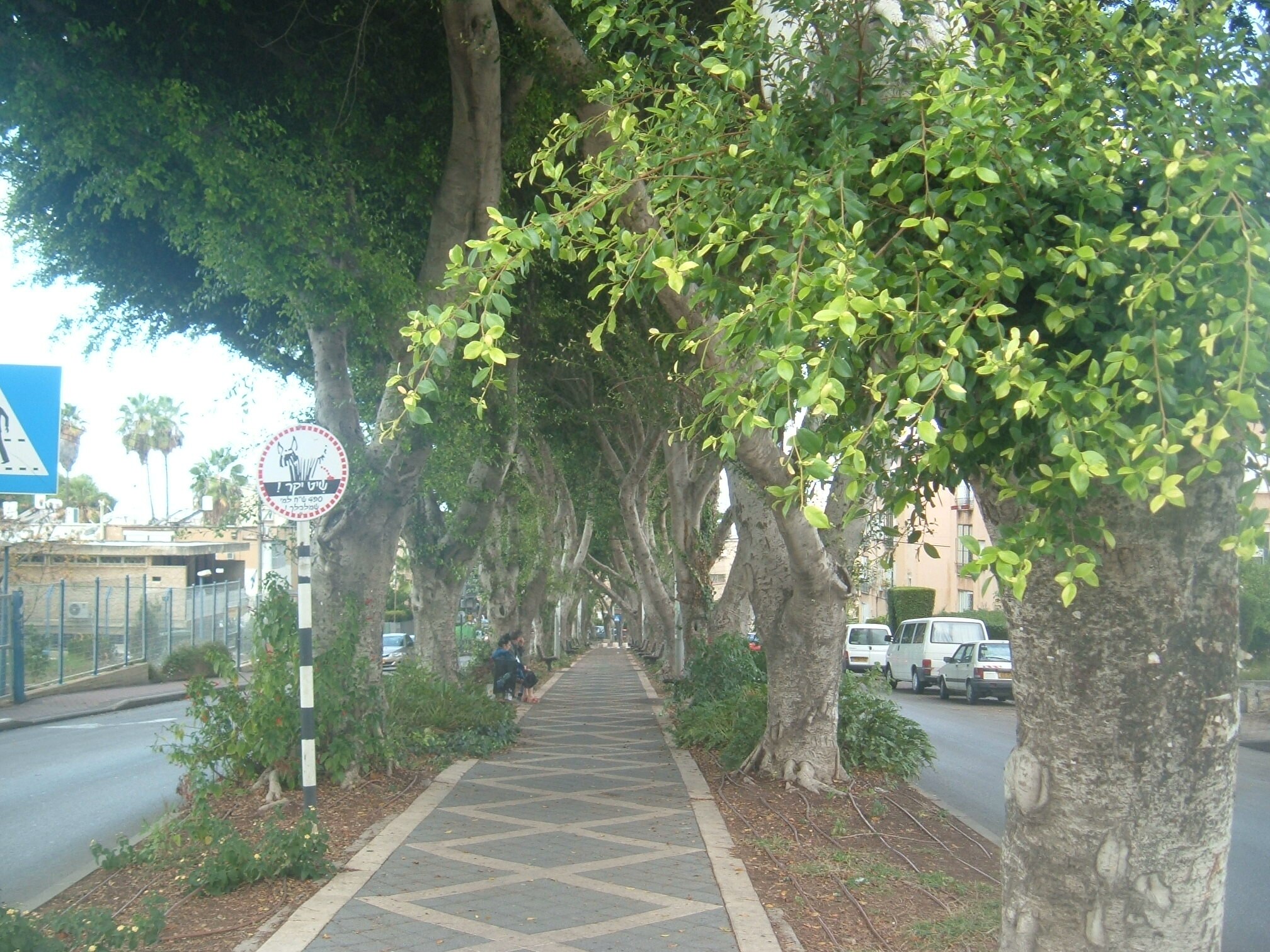  Telephones of Sluts in Qiryat Ata, Israel