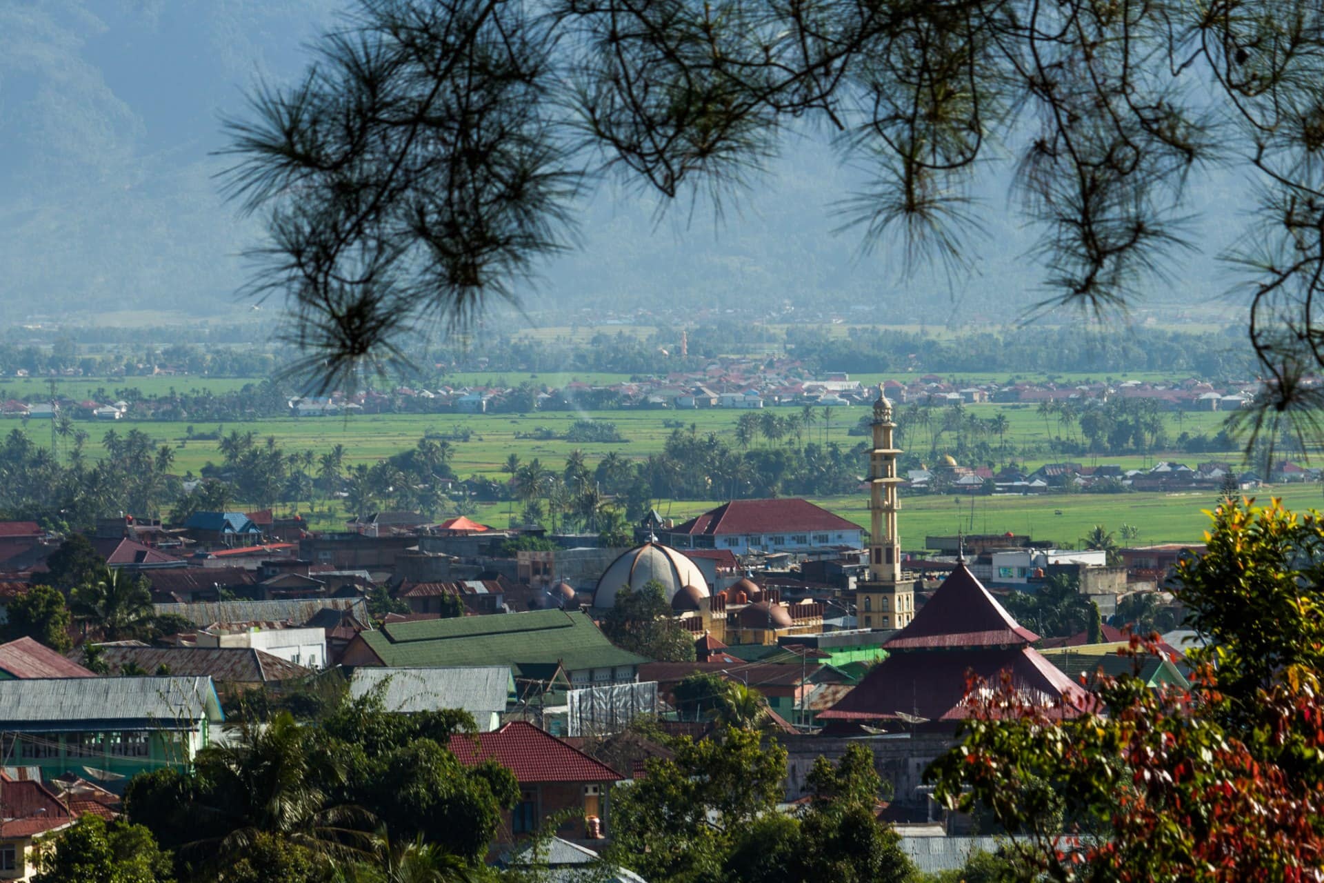  Where  find  a whores in Sungai Penuh, Indonesia